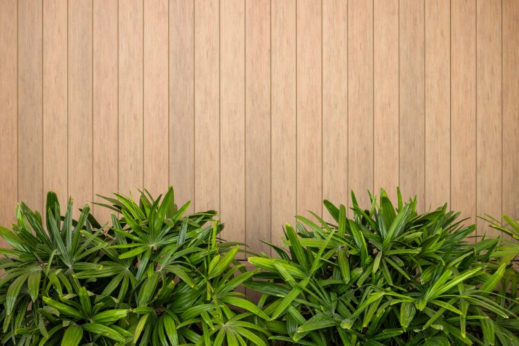 Daniel K. Akaka VA Clinic – Healthcare Architecture Photography in Hawaii